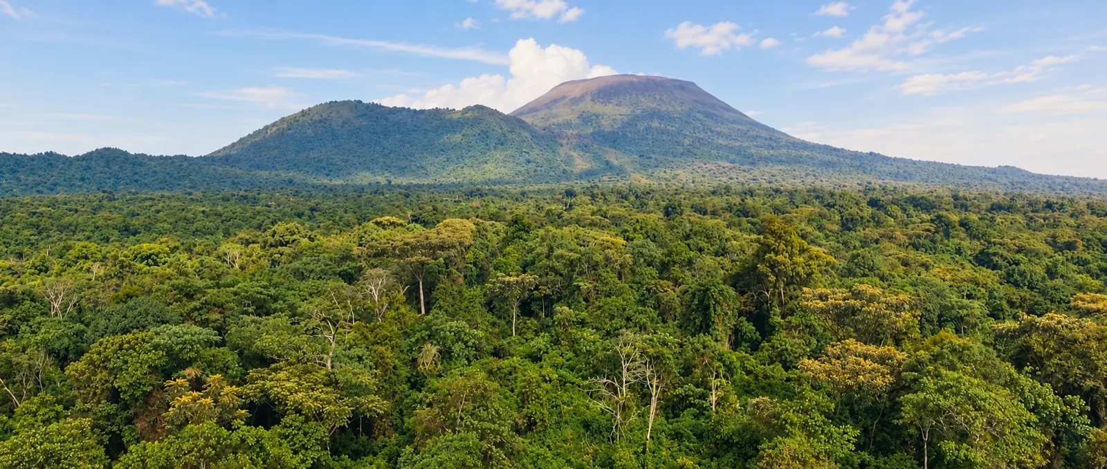 Foresta e rilievi vulcanici: fotografia migliorata con AI